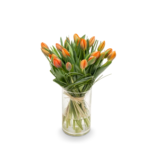 Kytice  tulipánů